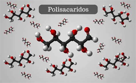 qué son los polisacáridos